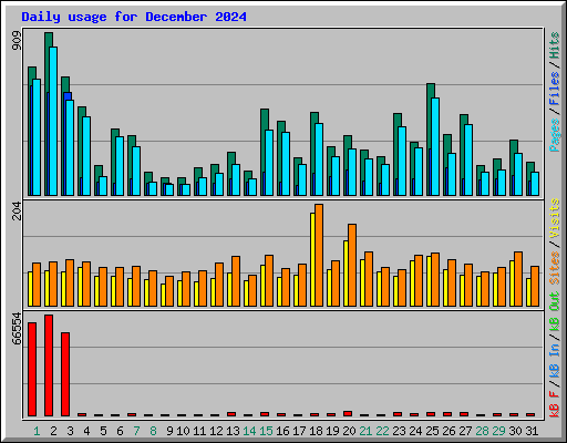 Daily usage for December 2024