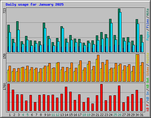 Daily usage for January 2025