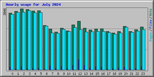 Hourly usage for July 2024