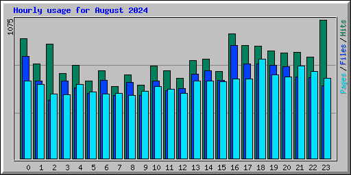 Hourly usage for August 2024