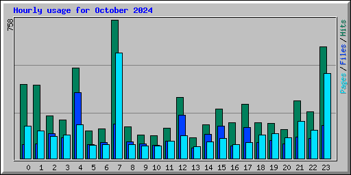 Hourly usage for October 2024