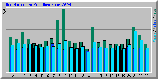 Hourly usage for November 2024