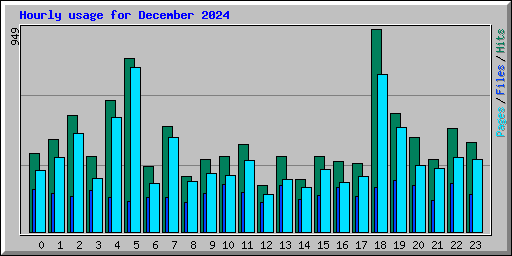 Hourly usage for December 2024