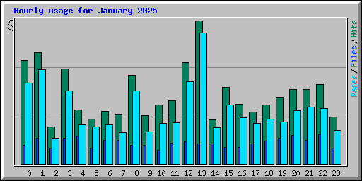 Hourly usage for January 2025