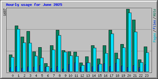 Hourly usage for June 2025