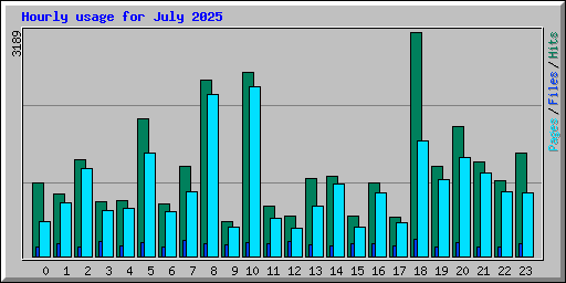 Hourly usage for July 2025