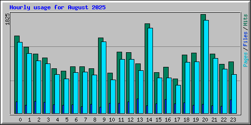 Hourly usage for August 2025