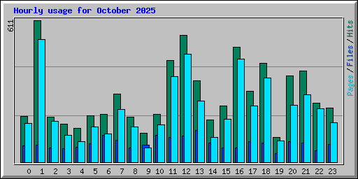 Hourly usage for October 2025