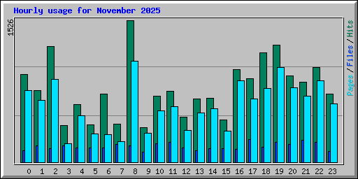 Hourly usage for November 2025