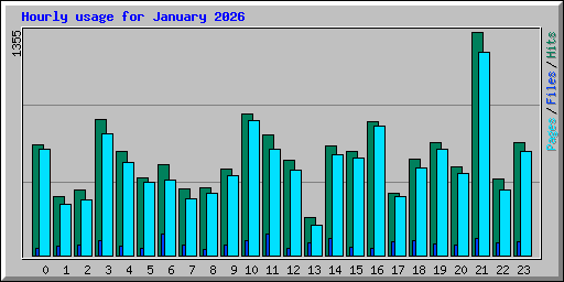 Hourly usage for January 2026