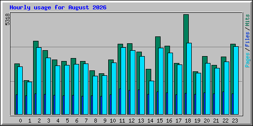Hourly usage for August 2026