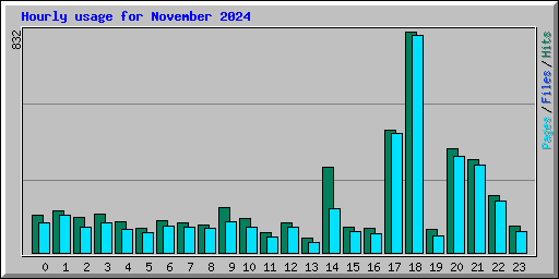 Hourly usage for November 2024