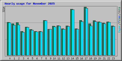 Hourly usage for November 2025