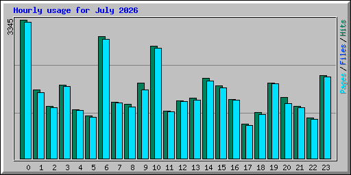 Hourly usage for July 2026