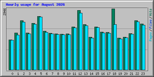 Hourly usage for August 2026